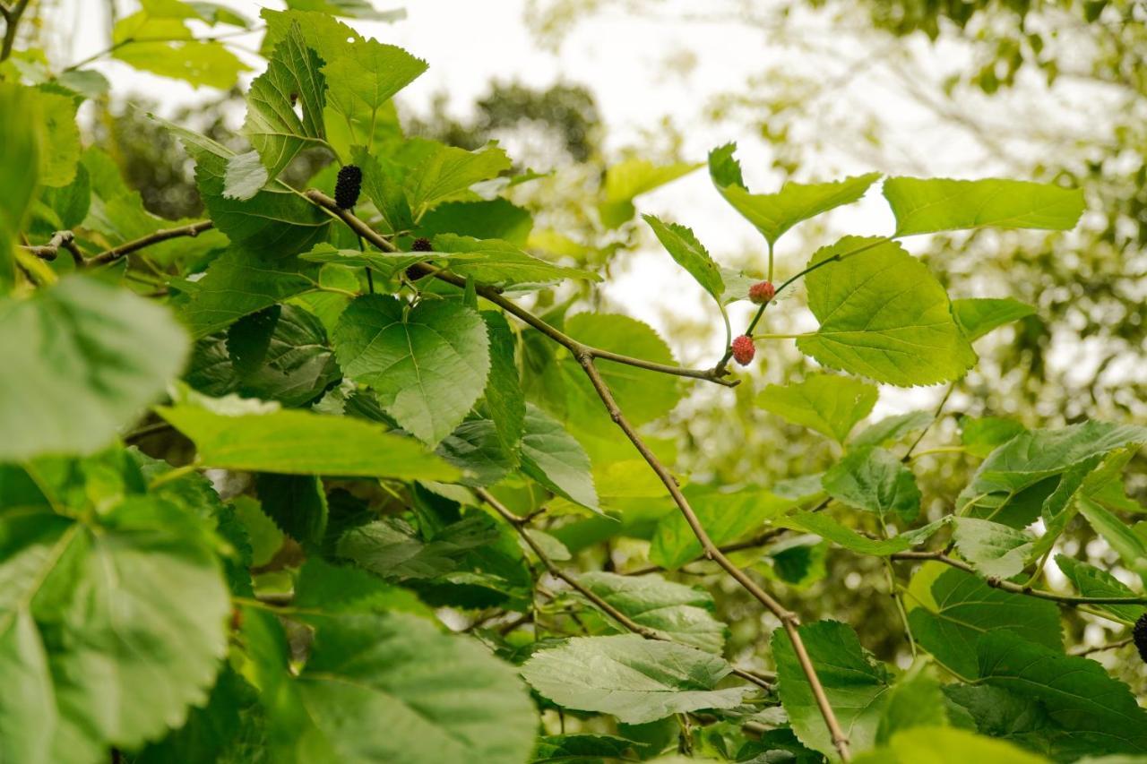 Pousada Dunasol Floripa フロリアノポリス エクステリア 写真