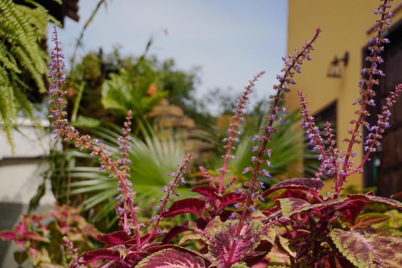 Pousada Dunasol Floripa フロリアノポリス エクステリア 写真