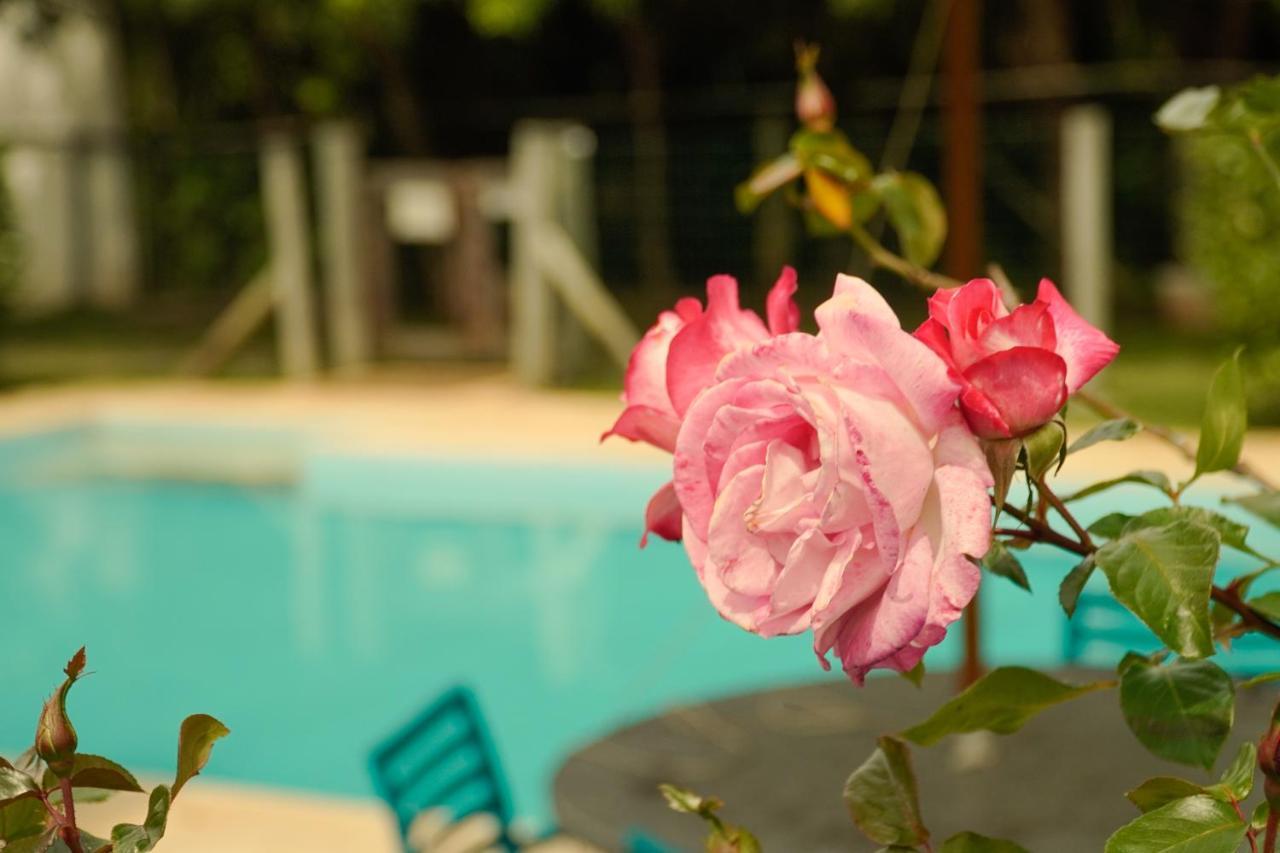 Pousada Dunasol Floripa フロリアノポリス エクステリア 写真