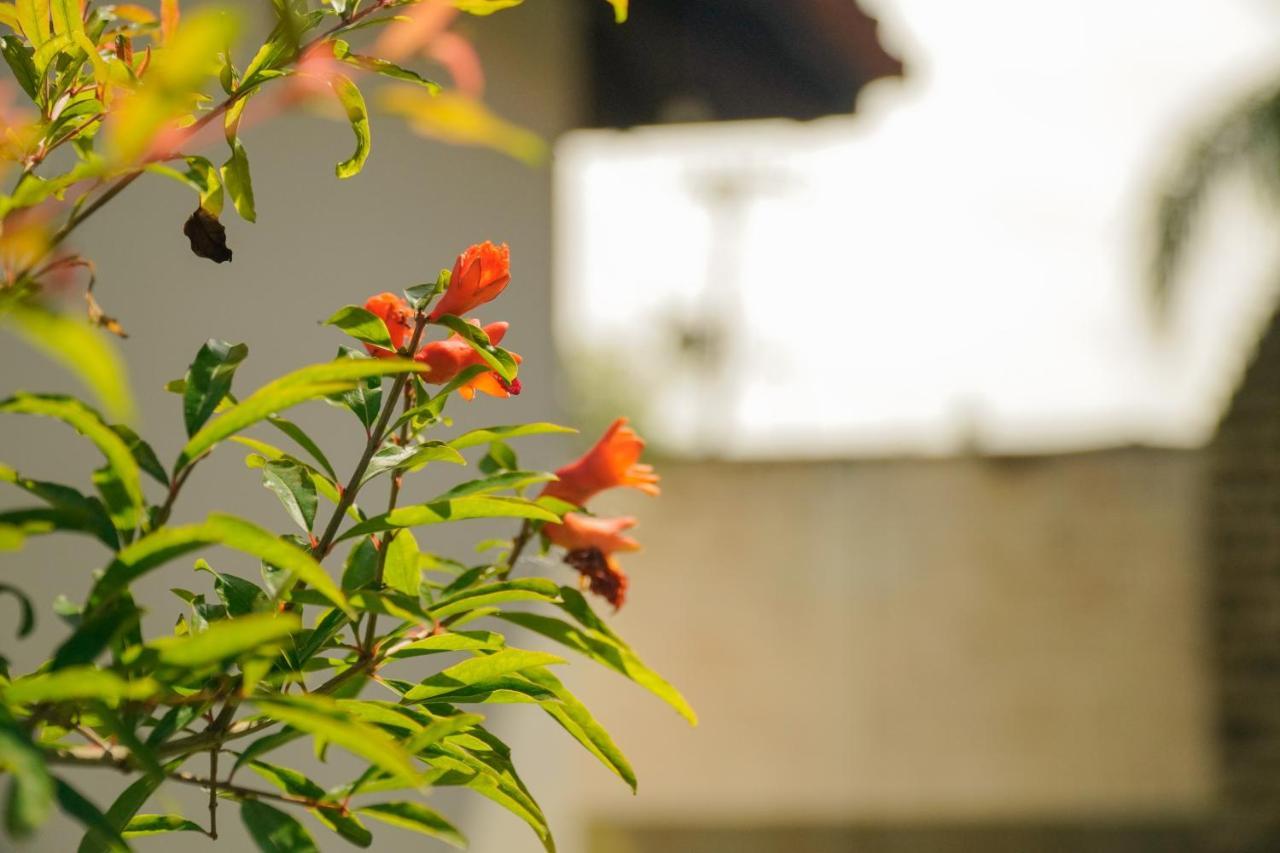 Pousada Dunasol Floripa フロリアノポリス エクステリア 写真