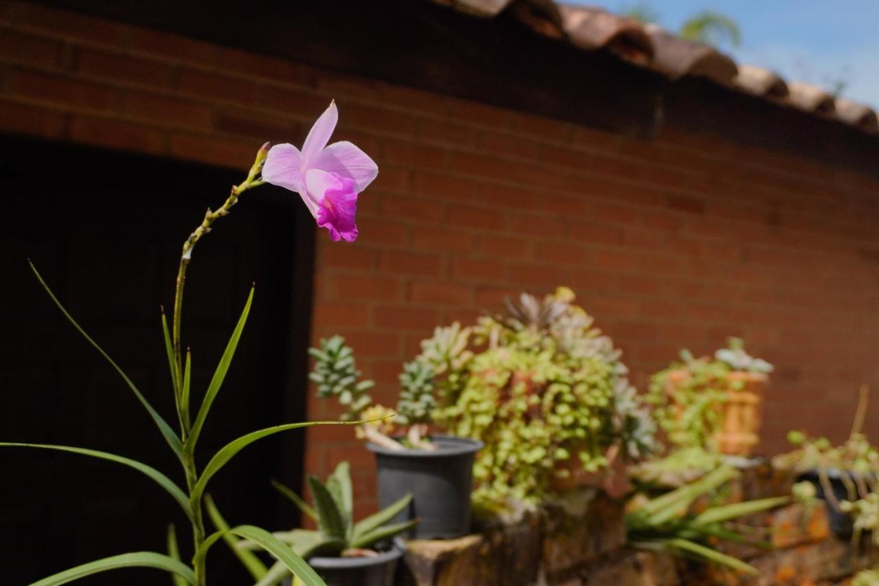 Pousada Dunasol Floripa フロリアノポリス エクステリア 写真