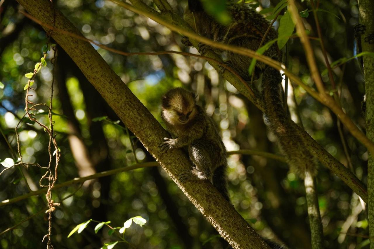 Pousada Dunasol Floripa フロリアノポリス エクステリア 写真