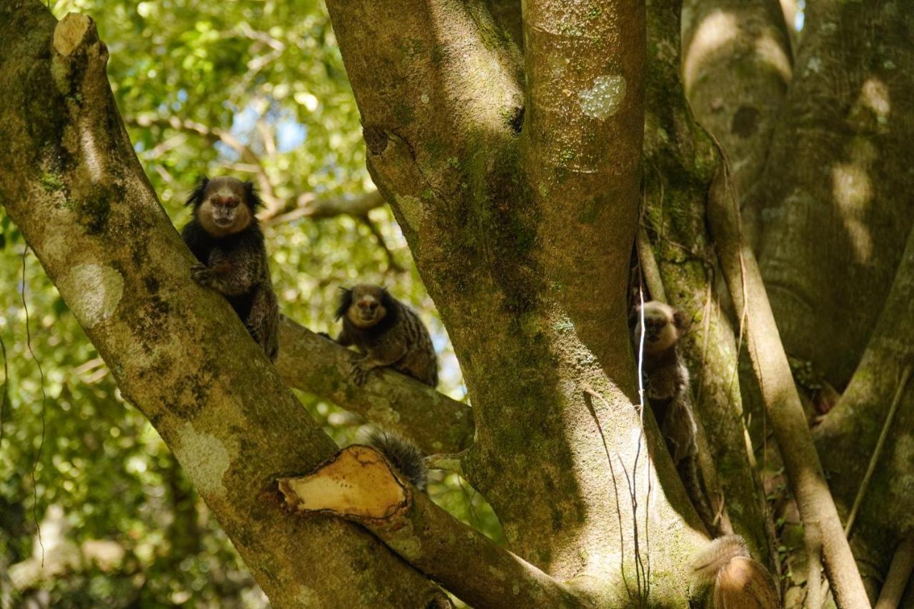 Pousada Dunasol Floripa フロリアノポリス エクステリア 写真